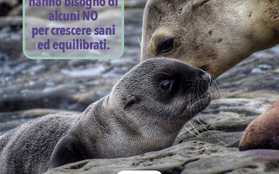 Essere Genitori Consapevoli