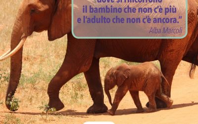 Essere Genitori Consapevoli