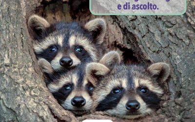 Essere Genitori Consapevoli