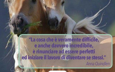Essere Genitori Consapevoli