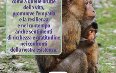 Essere Genitori Consapevoli