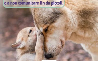 Essere Genitori Consapevoli